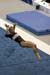_MG_3893_FS