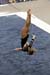 05NCAA1s4D_0310_edited