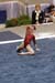 05NCAA1s4D_0319_edited