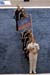 05NCAAF0D_0102_edited